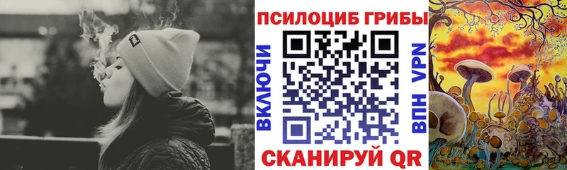 гидра ТОР  Чудово  Галлюциногенные грибы Psilocybe 